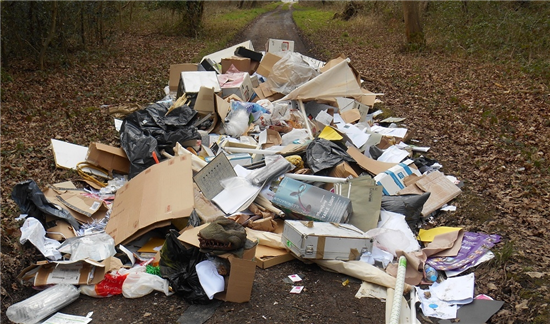 Fly tip