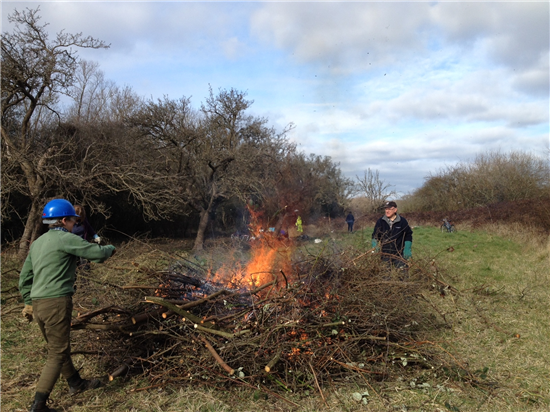 Volunteer countryside