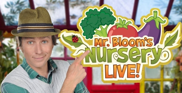 Mr bloom