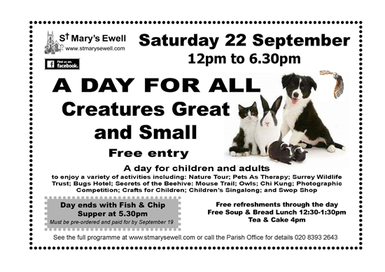 ADayForAll