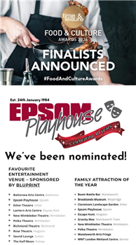 Playhouse award nomination