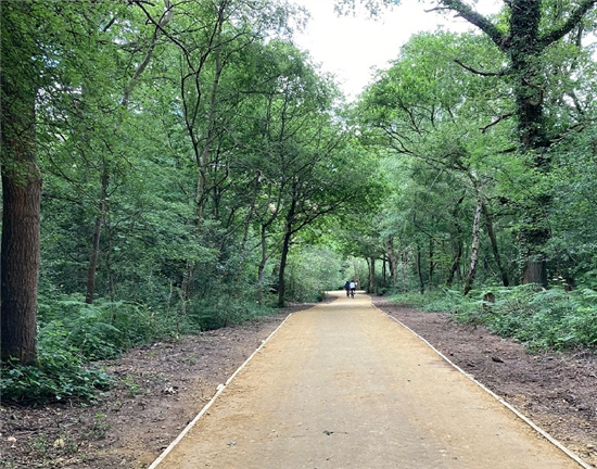 Access Track