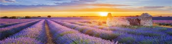 France 1