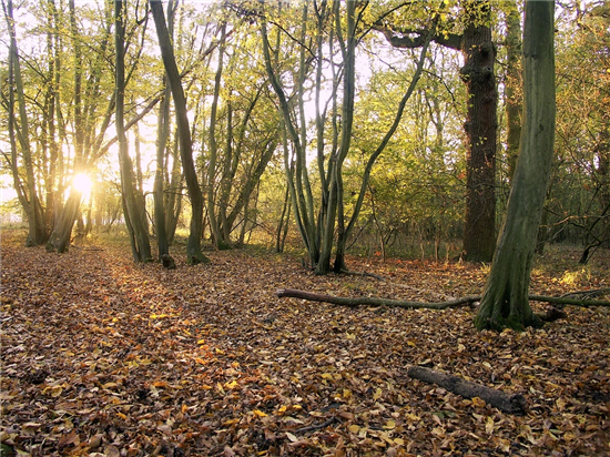 HortonCountryPark