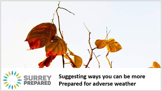 SurreyPreparedNov
