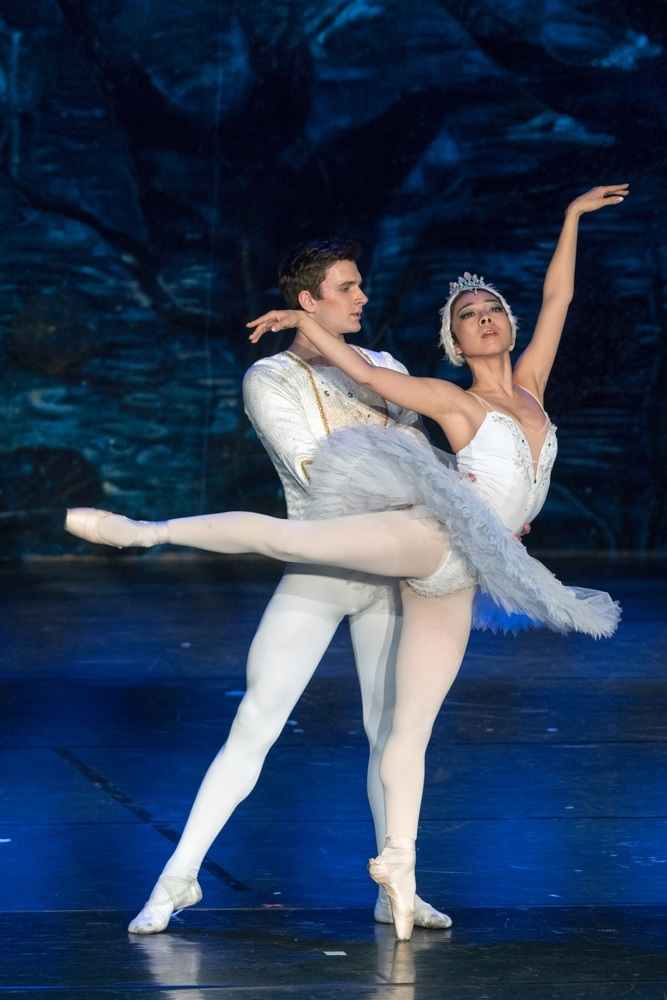 swan lake