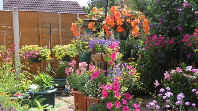 Image: My Patio 2020