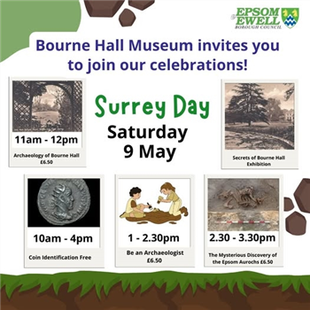 Surrey Day at Bourne Hall