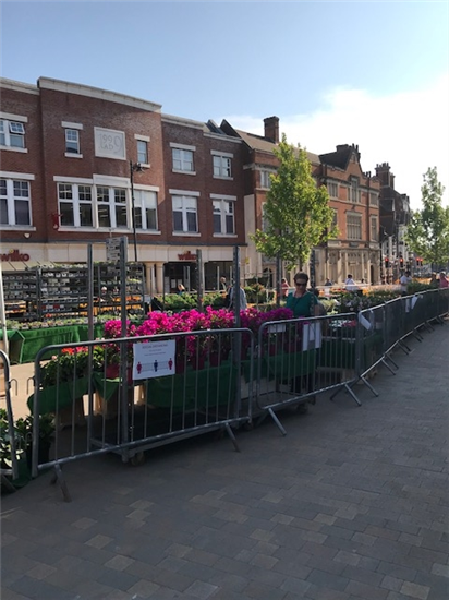 Plantstalls_EpsomMarket