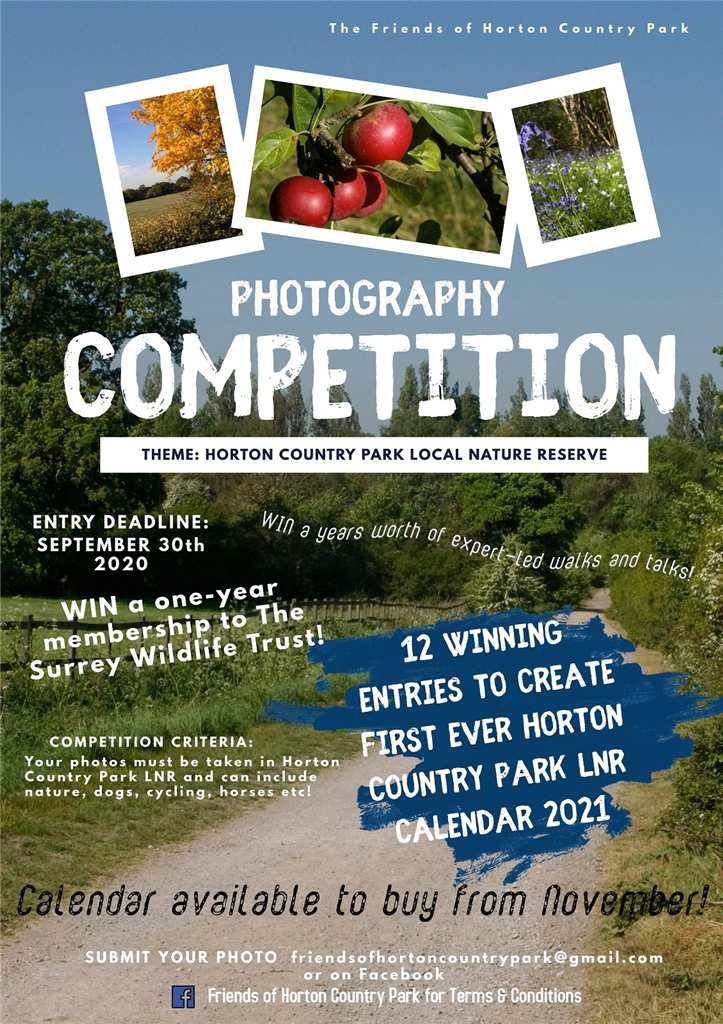 Image: Friends of Horton Country Park photo competition