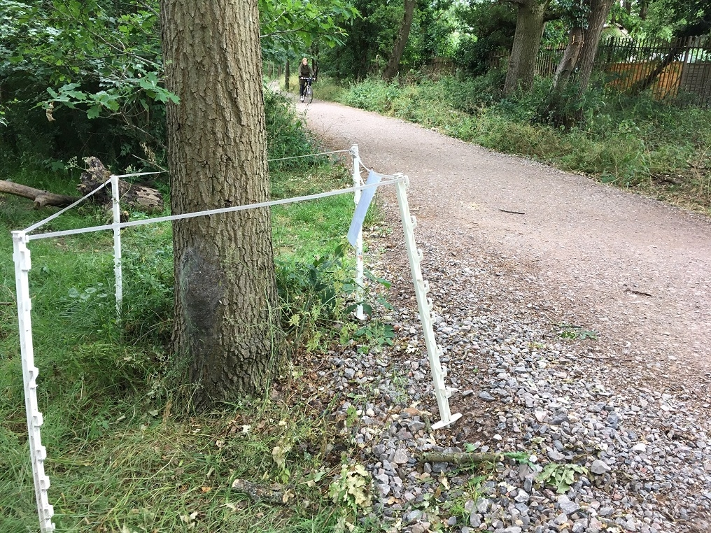 OPM_tree