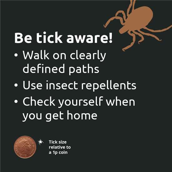 Ticks_ForestryEngland
