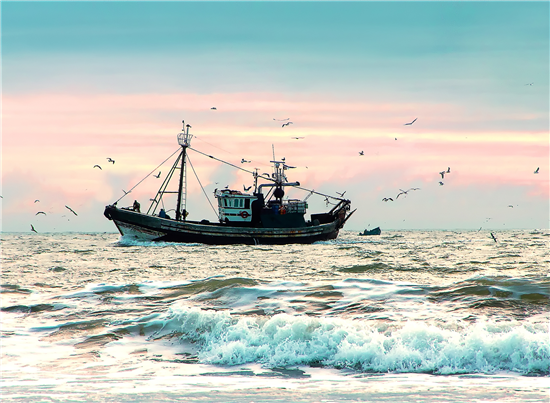 Image: fishing boat