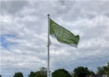 Green Flag Cropped