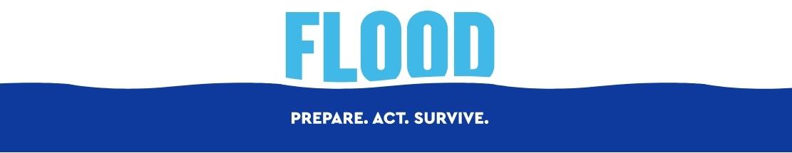 Image Flood logo