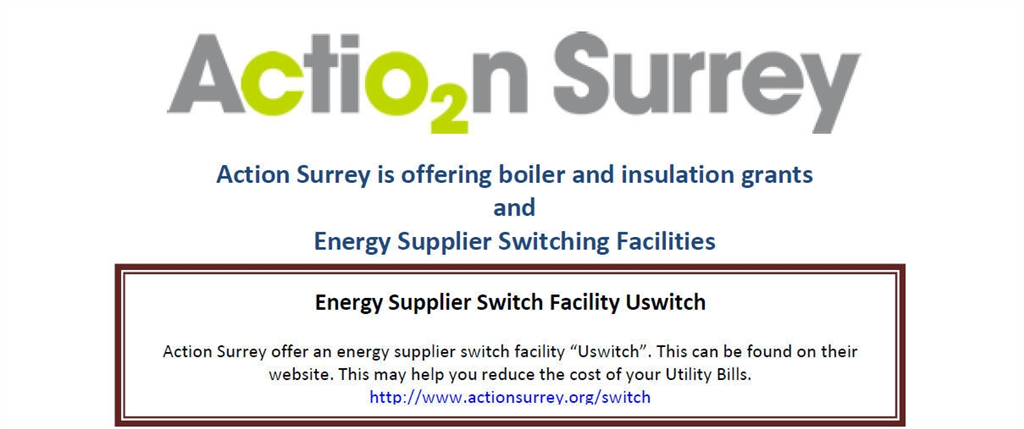 action surrey 1