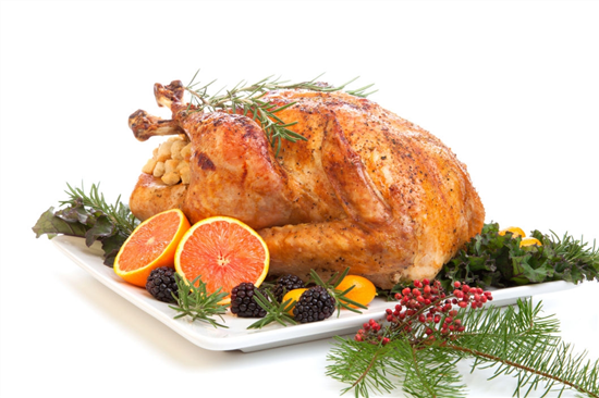 Christmas bird