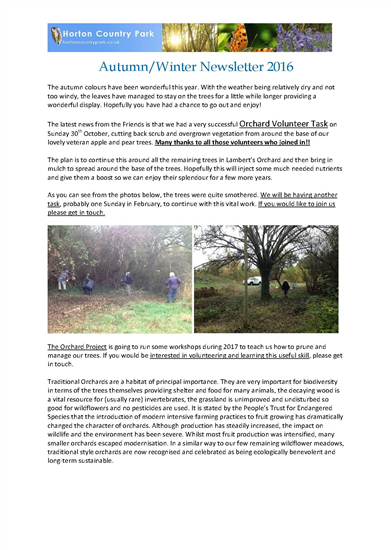 Autumn Winter newsletter