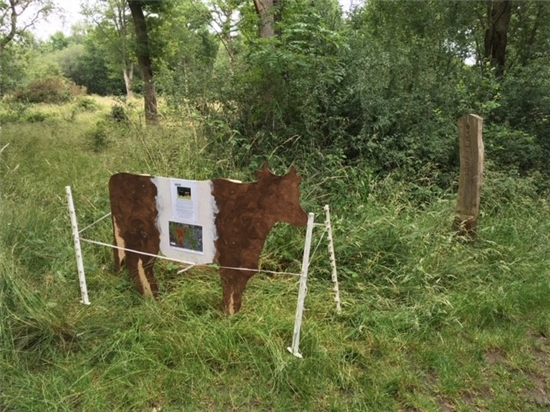 EpsomCommon_Plywoodcow