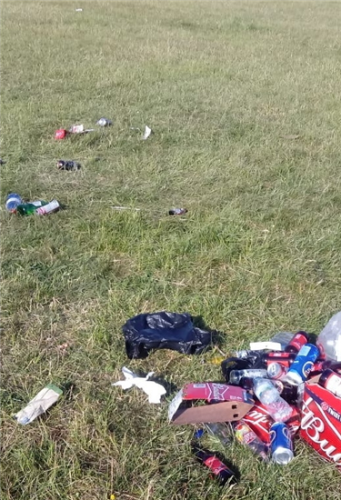 Litter