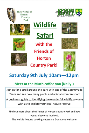 Wildlife Safari Poster
