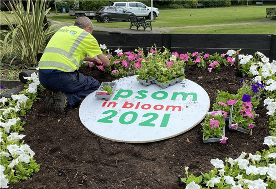 Image: Planting underway in Rosebery Park earlier this year