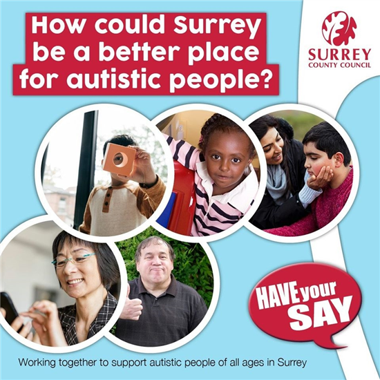 SCCsurvey_autismstrategy